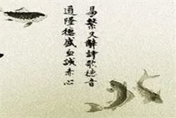 梦见摩托车被偷是什么码
